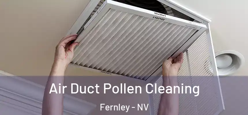  Air Duct Pollen Cleaning Fernley - NV
