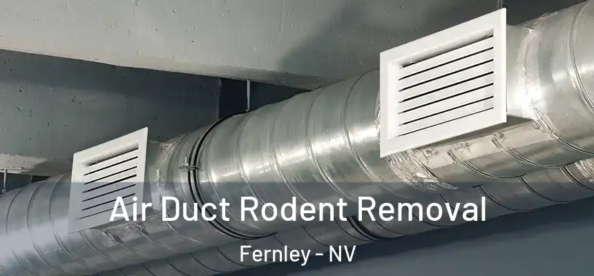  Air Duct Rodent Removal Fernley - NV
