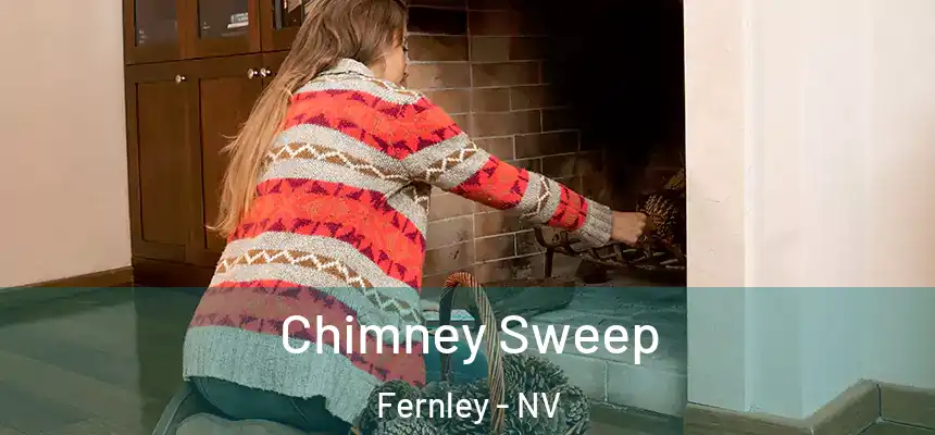  Chimney Sweep Fernley - NV