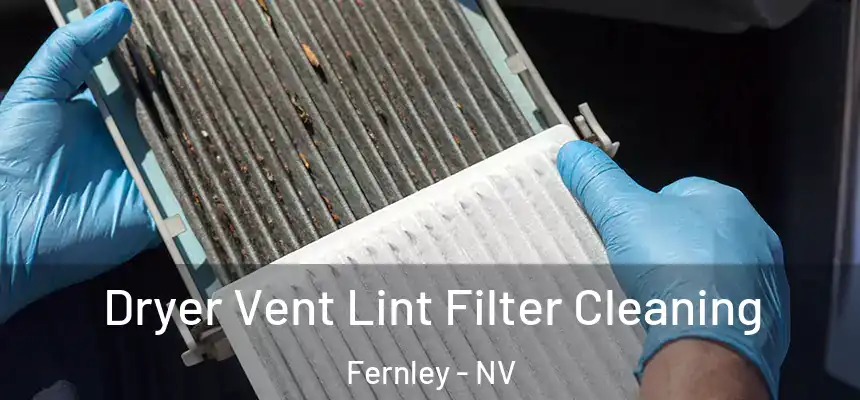  Dryer Vent Lint Filter Cleaning Fernley - NV