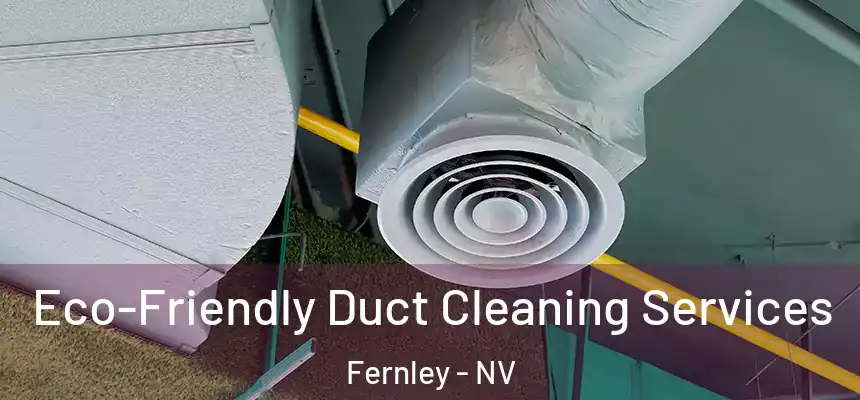  Eco-Friendly Duct Cleaning Services Fernley - NV
