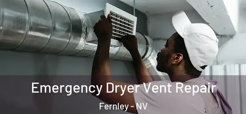  Emergency Dryer Vent Repair Fernley - NV