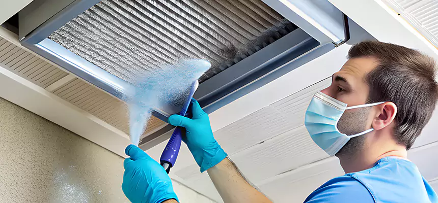 Proactive Dryer Vent & Auxiliary Duct Pollen Cleanup in Fernley, NV