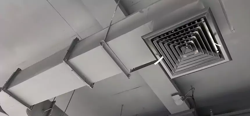 Restorative Allergy Relief Vent Cleaning – Coil, Blower & Housing Detail in Fernley