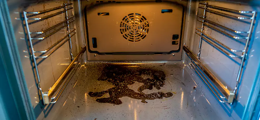 Our Dryer Vent Mold Cleaning Services in Fernley, NV