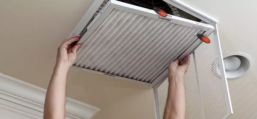 Our Insect Removal from Air Ducts Services in Fernley, NV