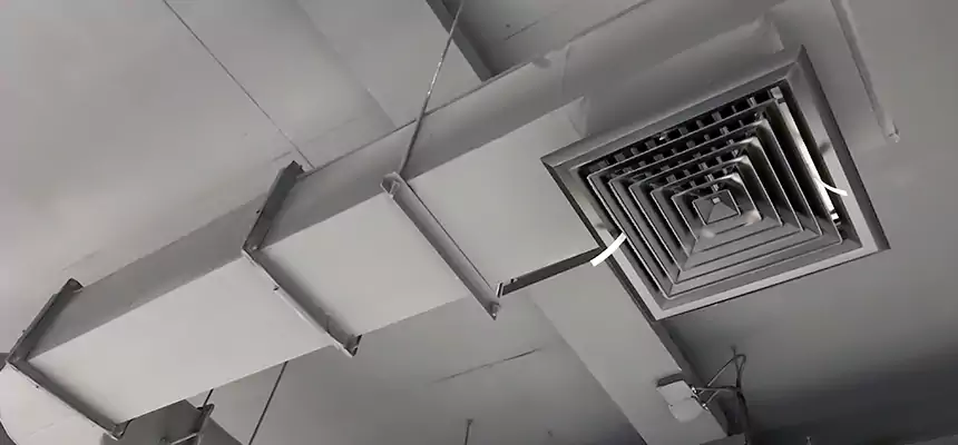 Our Pest Removal From Ducts Services in Fernley, NV