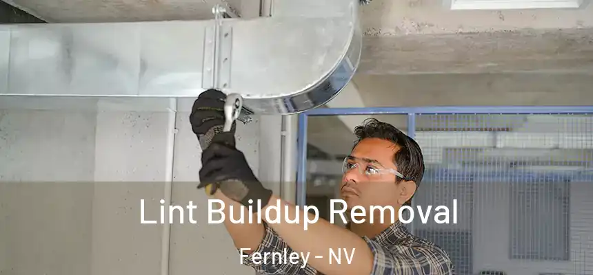  Lint Buildup Removal Fernley - NV