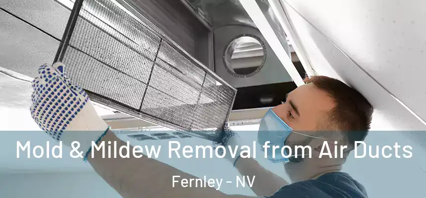  Mold & Mildew Removal from Air Ducts Fernley - NV