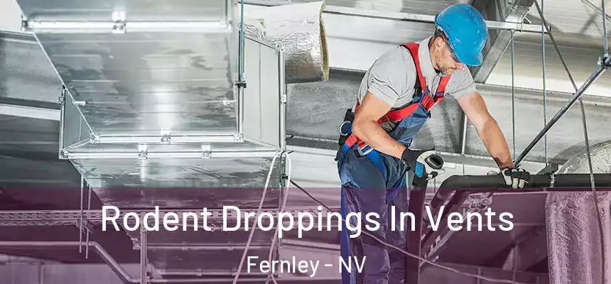 Rodent Droppings In Vents Fernley - NV