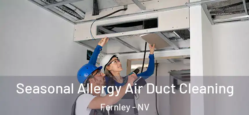  Seasonal Allergy Air Duct Cleaning Fernley - NV