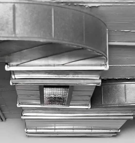 Professional Air Duct Pest Removal in Fernley, NV