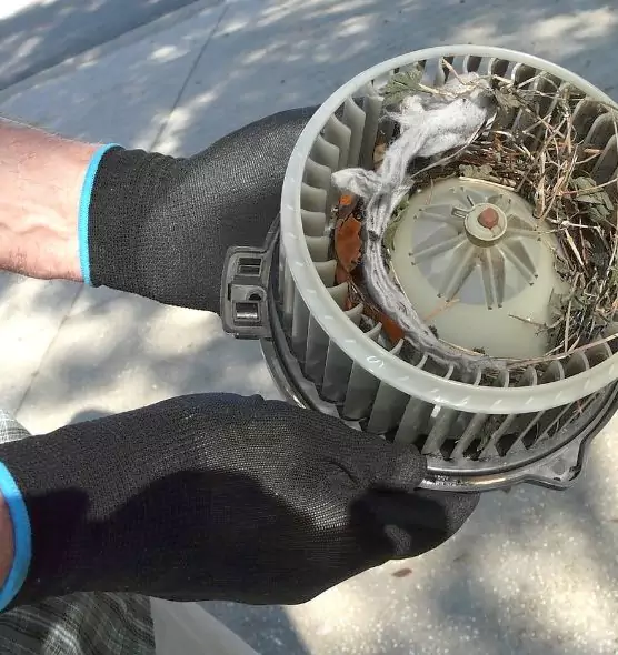 About Air Duct Rat Removal in Fernley, NV