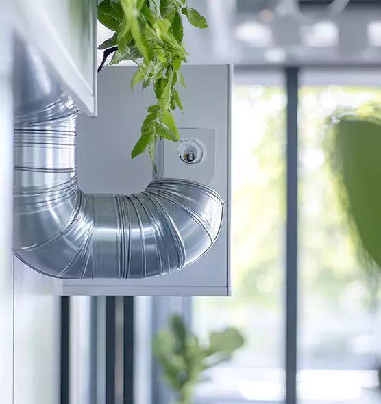 Professional Eco-Safe Dryer Vent Cleaning in Fernley, NV