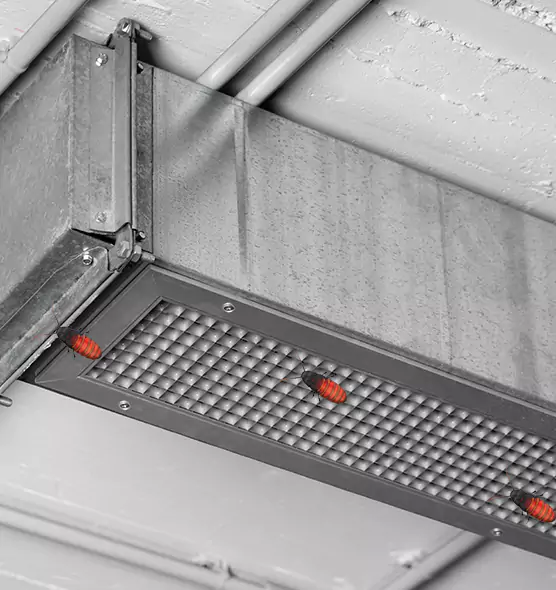 Affordable Insect Removal from Air Ducts in Fernley, NV