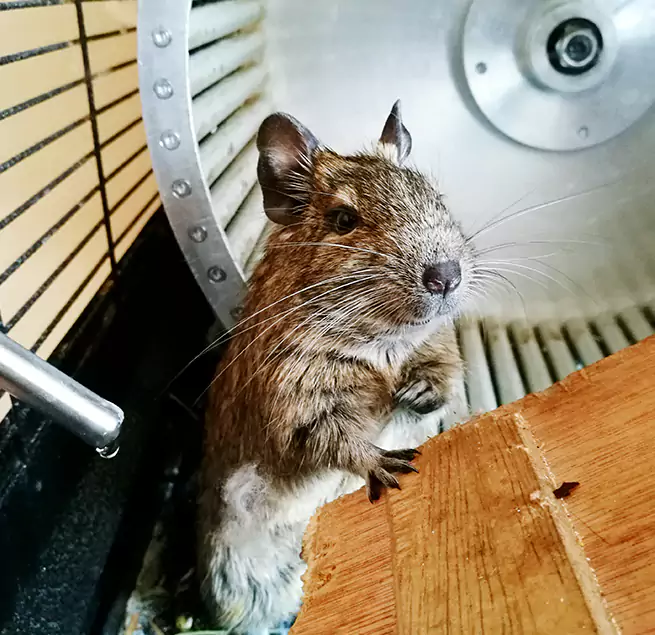 Why Homeowners & Businesses Trust Us Fernley, NV?