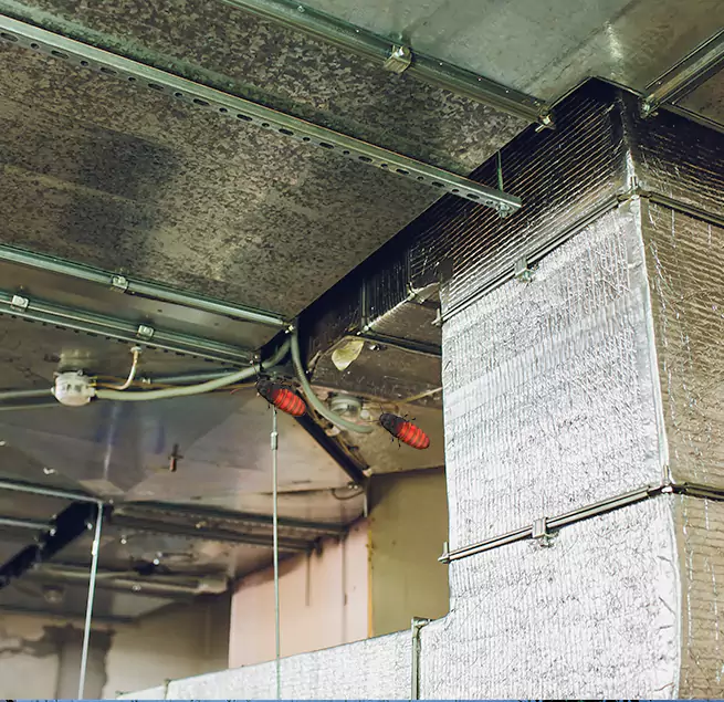 Why Homeowners & Businesses Trust Us Fernley, NV?