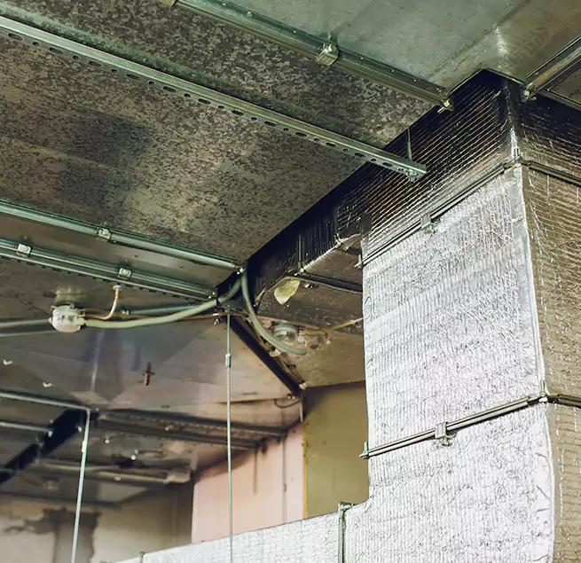 Why Homeowners & Businesses Trust Us in Fernley, NV?